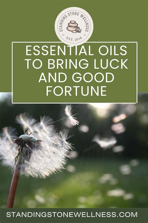 good luck essential oils|13 Best Essential Oils For Money, Luck, And Fortune.